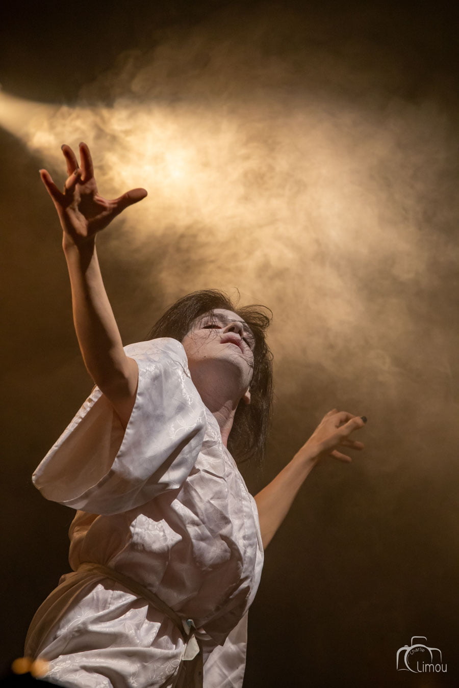 Il s’agit d’un spectacle queer, ou cabaret drag queen, représenté par le cabaret de la DRAG lors du festival Escales Curieuses. Un show mêlant performance artistique, chansons et humour. Photographie de Charlie Limou, photographe à Rennes, ille et Vilaine, Bretagne.